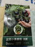 北蔬番茄種子苗黑珍珠小番茄西紅柿蔬菜種籽 盆栽小黑番茄種子50粒 曬單實(shí)拍圖