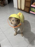 華元寵具（hoopet）大狗雨衣寵物狗狗四腳全包中大型犬邊牧沖鋒衣防水戶(hù)外衣服雨披 透明帽檐雨衣-黃色【護肚毛 防打濕】 5XL-背長(cháng)53cm（40-50斤） 曬單實(shí)拍圖
