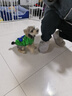 MIKI PAD狗狗衣服春秋薄款背心貓咪衣服寵物毛衣中小型犬比熊泰迪雪納瑞 萌趣云朵毛衣 S 胸圍33cm(參考體重3-6斤) 曬單實(shí)拍圖