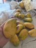 小臺農芒果【多地次日達】小芒果新鮮水果整箱應當季海南熱帶水果 特級果【單果100g+】 3斤裝【80%人選】?jì)糁?.7斤 曬單實(shí)拍圖