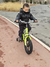 飛鴿兒童自行車(chē)3-6-10-12歲帶輔助輪小孩兒自行車(chē)腳踏車(chē)單車(chē) 綠色 一體輪 避震前叉 后座版+悍馬輔助輪+側支撐 14寸【適合90-115厘米】 曬單實(shí)拍圖