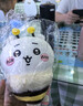 名創(chuàng  )優(yōu)品（MINISO）Chiikawa櫻花季小蜜蜂公仔毛絨玩具玩偶抱枕生日禮物Chiikawa吉伊 曬單實(shí)拍圖