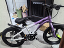 鳳凰兒童自行車(chē)兒童山地學(xué)生車(chē)小孩單車(chē)帶輔助輪3-6-10-12歲小中大童 烏梅紫丨單速一體輪+雙碟剎+禮包 16寸（適合身高105-115cm） 曬單實(shí)拍圖