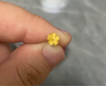 中國黃金（CHINA GOLD）朱槿花黃金耳釘女999足金耳飾生日七夕情人節禮物送女朋友老婆 足金耳釘+品牌禮盒 曬單實(shí)拍圖
