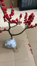 聽(tīng)雪樓盆栽樹(shù)苗帶果公樹(shù)冬青紅果真花紅果子進(jìn)口年宵花花卉雄株 【帶果】北美冬青4年苗高30-40厘米 不含盆+掛件一套 曬單實(shí)拍圖