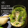 苔蘚微景觀(guān)創(chuàng  )意桌面微觀(guān)造景植物擺件禮物減壓綠植生態(tài)瓶diy材料 精靈小鎮-（成品發(fā)貨） 曬單實(shí)拍圖