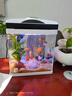 長(cháng)銳魚(yú)缸一體缸自循環(huán)免換水家用客廳桌面小型金魚(yú)缸超白玻璃養魚(yú)缸 超白CRV200標準款+水蘭青竹景（真水草） 曬單實(shí)拍圖