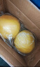 京鮮生 浙江玉環(huán)紅柚2粒裝 凈重7-8斤 單果3斤+ 水果禮盒 源頭直發(fā)包郵 曬單實(shí)拍圖