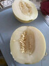 山東小蜜蜂甜瓜老品種暴甜香瓜應季現摘孕婦水果蜜瓜 帶箱1斤 榨汁碰傷次果【非商品果】 爆甜皮薄老品種小蜜蜂 曬單實(shí)拍圖