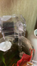 瘋狂水草（FKSC）小魚(yú)缸過(guò)濾器魚(yú)缸三合一過(guò)濾器 Q206大濾倉整套帶除油膜 魚(yú)缸水泵 曬單實(shí)拍圖