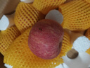 秦悅仙果鮮蘋(píng)果煙臺蘋(píng)果紅富士蘋(píng)果水果禮盒蘋(píng)果禮盒裝【京東多地次日達】 精品特大果4.5斤丨單果250g+ 曬單實(shí)拍圖