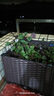 田田綠加深蔬菜種植箱特大陽(yáng)臺種菜盆花盆天臺屋頂菜園種菜種花盆長(cháng)方形 深3聯(lián)長(cháng)120寬40高37 加深款 曬單實(shí)拍圖