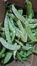 荷蘭豆新鮮蔬菜青豌豆甜脆豌豆苗四季豆扁豆當季時(shí)令新鮮蔬菜 云南新鮮荷蘭豆凈重3斤【農家自種】 曬單實(shí)拍圖