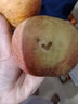 正宗山東紅富士蘋(píng)果冰糖心新鮮當季水果孕婦丑蘋(píng)果香脆爽酸甜 帶箱9-10斤凈重8斤【80-95mm】 不能保證所有蘋(píng)果都有冰糖心呦 曬單實(shí)拍圖