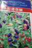 多彩觀(guān)賞椒種子五彩小辣椒觀(guān)賞椒種子陽(yáng)臺盆栽春夏易種朝天椒種子 多彩辣椒種子【1包 約50?！?曬單實(shí)拍圖