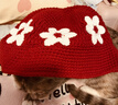 邦帛世毛線(xiàn)帽子冬季保暖針織鏤空漁夫帽女可愛(ài)新年甜美花朵帽水桶帽子 花朵毛線(xiàn)針織帽【酒紅色】 均碼【55-58cm】 曬單實(shí)拍圖