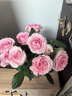 【仙氣滿(mǎn)滿(mǎn)】洛神玫瑰10枝 曬單實(shí)拍圖