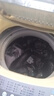美的小天鵝洗衣機6/6.5/7/7.5/8KG公斤波輪盤(pán)MB80V31內筒底盤(pán)轉盤(pán) 4號 原裝波輪-37.5CM【金屬芯】 曬單實(shí)拍圖