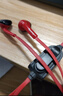 森麥電腦入耳式SM-336帶麥有線(xiàn)耳機筆記本臺式電腦3.5mm雙孔插頭游戲直播辦公學(xué)習耳麥2米線(xiàn)長(cháng) 紅色 曬單實(shí)拍圖