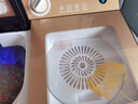 長(cháng)紅視潔2026新款半自動(dòng)洗衣機15-60公斤家商用雙缸雙桶大容量甩干老式脫水特價(jià)家電促銷(xiāo)不銹鋼內桶-洗被子 30kg金+雙鋼桶+雙電機+藍光 雙缸 曬單實(shí)拍圖
