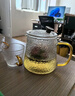 茗光茶壺玻璃泡茶壺茶水分離水壺家用耐高溫泡茶器茶壺套裝茶具 曬單實(shí)拍圖