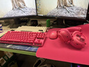 羅技（G）鍵盤(pán)鼠標套裝有線(xiàn)/無(wú)線(xiàn)鍵鼠套裝耳機電競套裝三件套gpw鼠標鍵盤(pán)套裝耳機電競全家桶送男友男生禮物 【PRO X全家桶】超感電競粉色套裝 曬單實(shí)拍圖