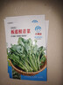 板藍根油菜種子青菜種子疏菜白灼油菜苔田園庭院陽(yáng)臺盆栽植物蔬菜 板藍根青菜種子 五包約5000粒 曬單實(shí)拍圖
