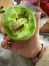 （霖錦）超便宜山東當季綠寶甜瓜單果250g+山東沈陽(yáng)倉隨機發(fā) 單粒（小果） 曬單實(shí)拍圖