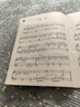 布格繆勒25首鋼琴進(jìn)階練習曲(作品100)/鋼琴巴士雙引擎智能7+1曲庫鋼琴基礎教程 鋼琴書(shū) 曬單實(shí)拍圖