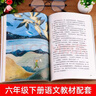 【京倉直發(fā) 正版包郵】魯濱遜漂流記+尼爾斯騎鵝旅行記+愛(ài)麗絲漫游奇境+湯姆·索亞歷險記  曹文軒、陳先云主編 人教版 課外閱讀 必讀書(shū)目 快樂(lè )讀書(shū)吧六下套裝【全6冊】 曬單實(shí)拍圖