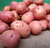 京鮮生恩施小土豆3斤 單果約20-50g新鮮黃心土豆馬鈴薯 源頭直發(fā) 曬單實(shí)拍圖