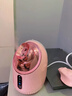 DIKTT德國蒸臉儀冷熱雙噴蒸臉補水家用面部美容院用大噴霧美容蒸臉儀器打開(kāi)毛孔面部噴霧情人節生日禮物 【玫瑰粉】冷熱溫三噴+加大噴霧+可加爽膚水 防干燒保護 超大水箱 曬單實(shí)拍圖
