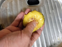 四川紅心獼猴桃奇異果新鮮水果正宗奇異果大果應當季整箱孕婦水果 15枚大果（單果90-110g） 曬單實(shí)拍圖
