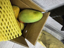 京鮮生廣西生吃大青芒 凈重4.5斤裝 單果250g起 生鮮水果源頭直發(fā)包郵 曬單實(shí)拍圖