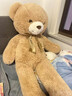 RWTW特大號抱抱熊泰迪熊公仔玩偶毛絨玩具女孩抱睡娃送女友生日禮物 泰迪熊白色 1.2米 曬單實(shí)拍圖