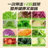 一號農場(chǎng)開(kāi)盒即食12種蔬菜健身輕食蔬菜沙拉180g*3油醋汁口味 曬單實(shí)拍圖