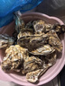 千牛農乳山生蠔5XL凈重5斤 鮮活牡蠣 海蠣子 海鮮燒烤食材源頭直發(fā) 曬單實(shí)拍圖