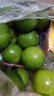 廣西塔希提無(wú)籽青檸檬薄皮新鮮現摘青檸香水檸檬【百補優(yōu)選】 【20個(gè)】塔希提青檸檬 單果凈重50g 曬單實(shí)拍圖