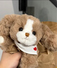 伽百利（Gabriel）毛絨玩具小狗玩偶安撫抱枕女生禮物娃娃玩偶生日禮物送女生送兒童 可愛(ài)糯米40cm普通禮盒款（贈送手提袋） 曬單實(shí)拍圖