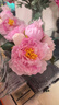 花點(diǎn)馨意仿真花假花束芍藥牡丹花DIY創(chuàng  )意手捧花絹花裝飾擺件 深粉4496 曬單實(shí)拍圖