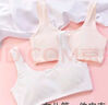愛(ài)莉兒&歐蘿拉兒童內衣6-12歲初發(fā)育女童小學(xué)生第一階段發(fā)育期純棉小背心80A 曬單實(shí)拍圖