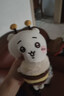 名創(chuàng  )優(yōu)品（MINISO）Chiikawa櫻花季小蜜蜂公仔毛絨玩具玩偶抱枕生日禮物Chiikawa吉伊 曬單實(shí)拍圖