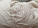 LOVO羅萊A類(lèi) 95%昆侖白鵝絨羽絨被 冬被 1000g填充200*230cm 白色 曬單實(shí)拍圖