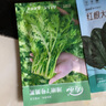 壽禾茼蒿種子苗小葉皇帝菜細葉蔬菜種籽  濰嫩7號茼蒿種子15g約6300粒 曬單實(shí)拍圖