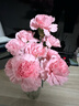 單頭康乃馨10枝粉色 曬單實(shí)拍圖