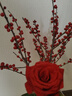 【紅紅火火】紅色冬青3枝 曬單實(shí)拍圖
