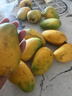 小臺農芒果【多地次日達】小芒果新鮮水果整箱應當季海南熱帶水果 特級果【單果100g+】 3斤裝【80%人選】?jì)糁?.7斤 曬單實(shí)拍圖