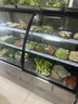 揚子三層柜涼菜展示柜商用點(diǎn)菜柜擺攤展示柜熟食冷藏保鮮柜蛋糕柜風(fēng)冷商超專(zhuān)用烤雞烤鴨脖串串柜 【節能全銅管制冷】1.5米弧形前開(kāi)門(mén)+送貨上門(mén) 曬單實(shí)拍圖