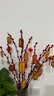樹(shù)上掛件飾品2025小燈籠掛飾裝盆栽?huà)祜椫参锞G植盆景 22件植物掛卡+小燈籠 曬單實(shí)拍圖