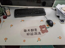 范爺家加熱鼠標墊卡通大號發(fā)熱暖桌墊辦公室電腦桌面發(fā)熱墊書(shū)桌暖手墊子 曬單實(shí)拍圖